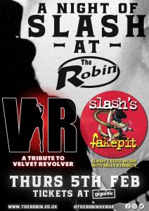 VR (A tribute to Velvet Revolver)