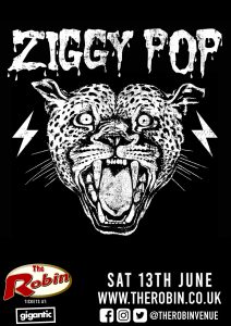 Ziggy Pop