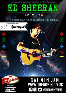 Ed Sheeran Experience