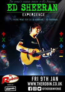 Ed Sheeran Experience