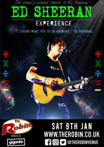 Ed Sheeran Experience