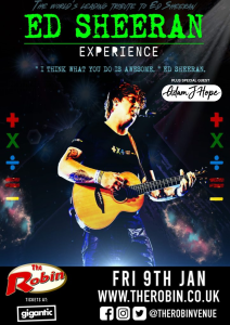 Ed Sheeran Experience